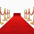 Red carpet (opening ceremony)